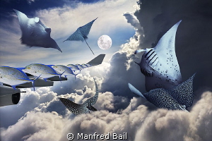just another PS by Manfred Bail 